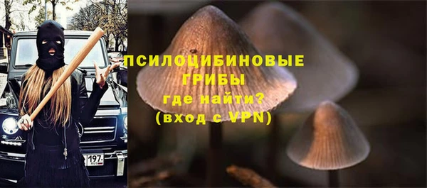 MDMA Заречный