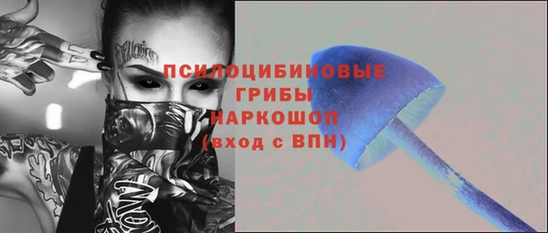 a pvp Рославль