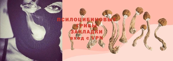 a pvp Рославль