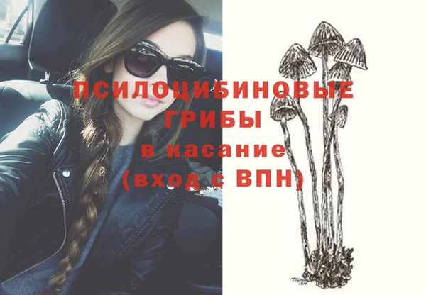 a pvp Рославль