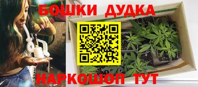 шишки Ачхой-Мартан