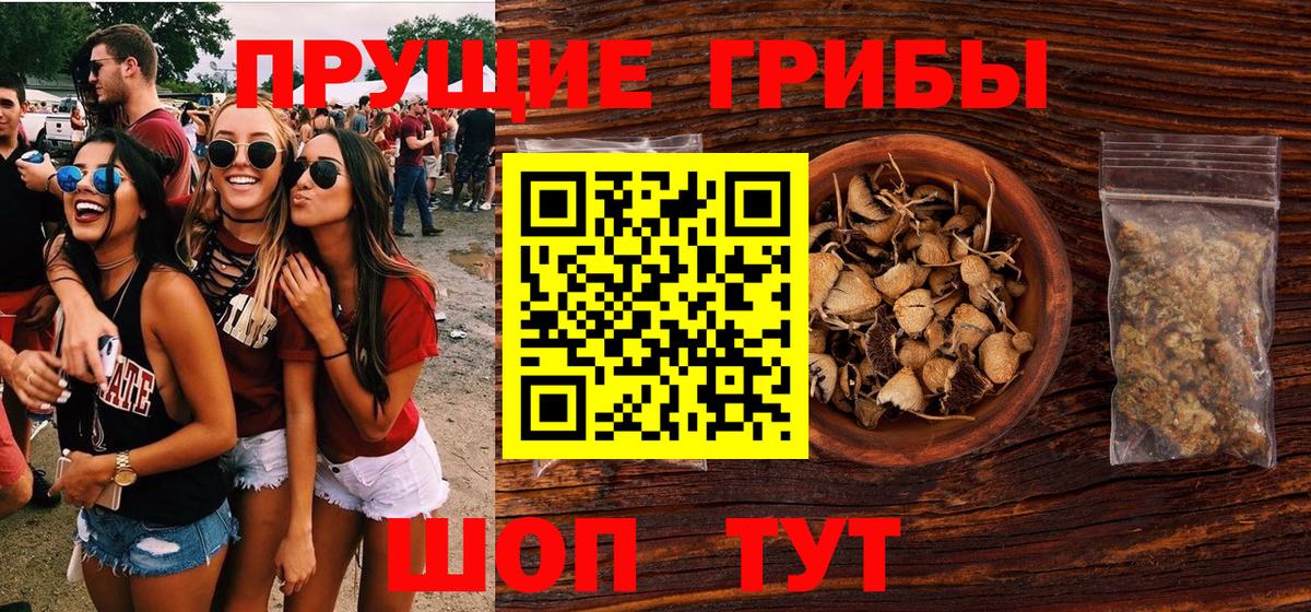 Галлюциногенные грибы MAGIC MUSHROOMS  купить наркотики цена  Янаул  Вход с VPN 